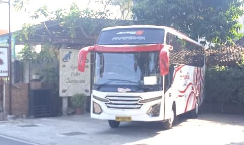 sewa bus jakarta untuk gathering