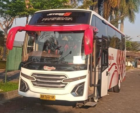 sewa bus medium long